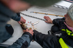 Sail & Ski in Finnmark, Norway | limited spots