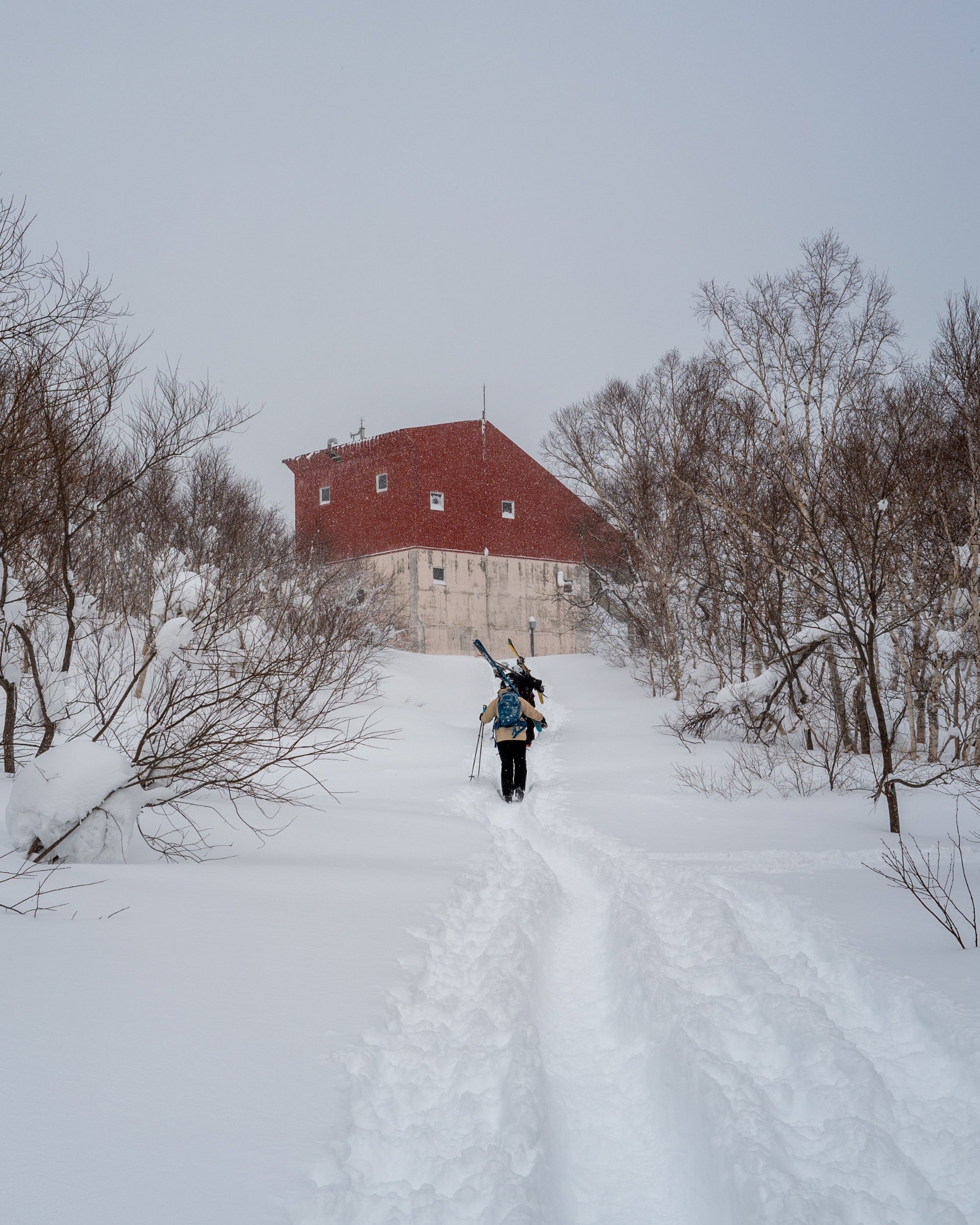 Guided Ski Trip to Niseko, Japan | Limited spots available till October 2025