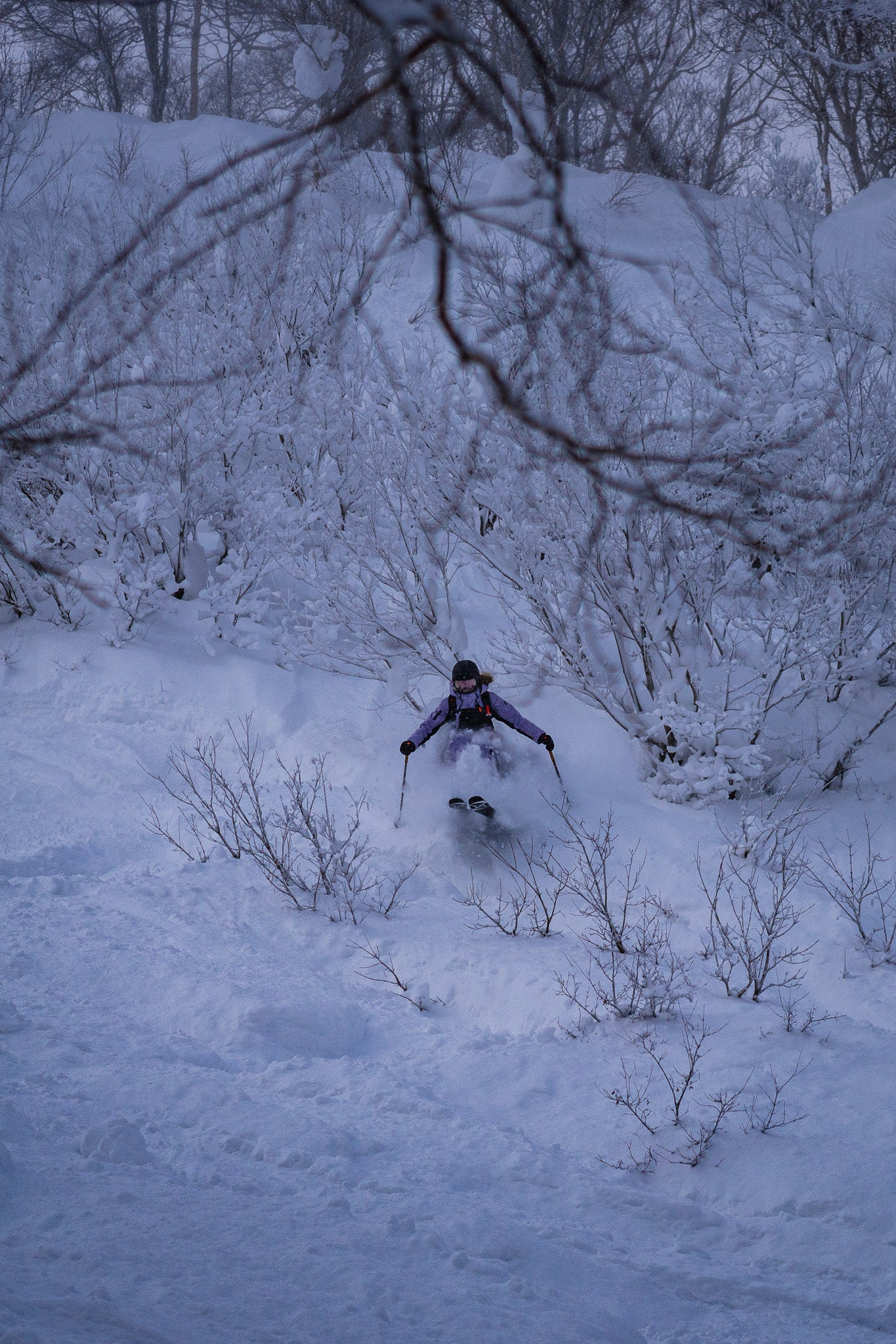 Guided Ski Trip to Niseko, Japan | Limited spots available till October 2025