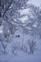 Guided Ski Trip to Niseko, Japan | Limited spots available till October 2025
