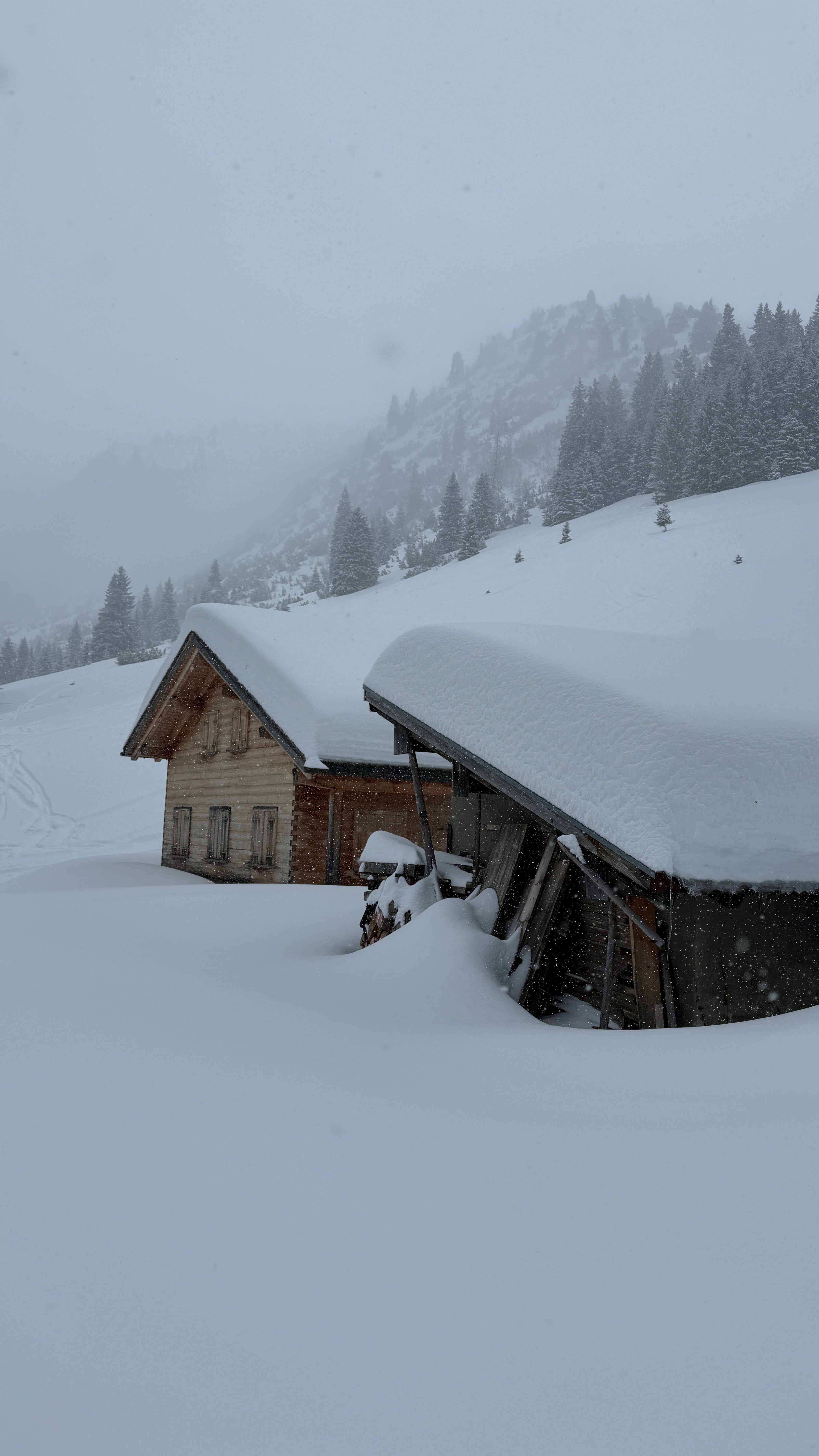 Private Ski Guiding in the Arlberg — St. Anton, Lech & Zürs