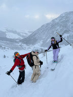 4-Day beginner ski freeride camp for women