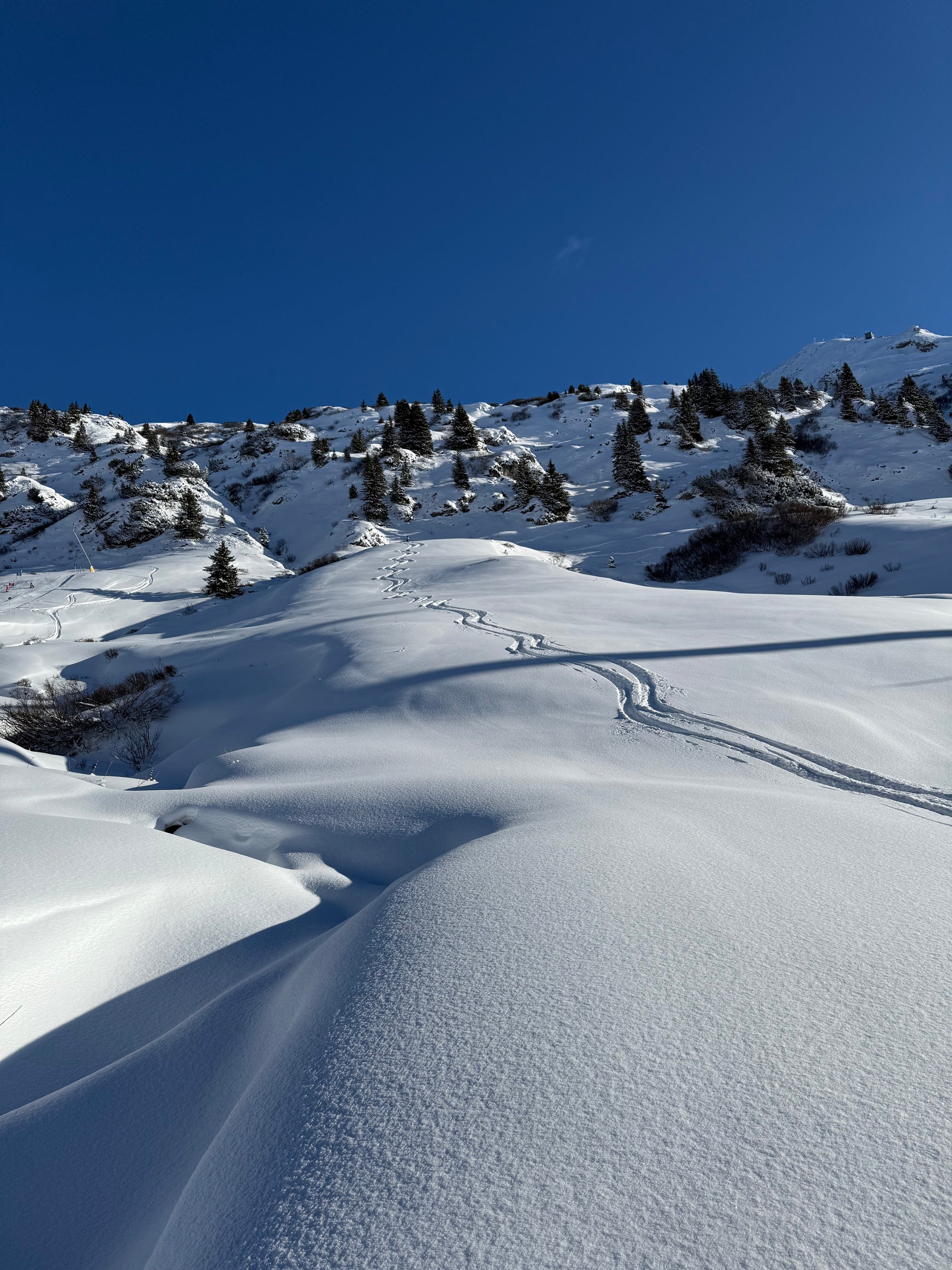 4-Day beginner ski freeride camp for women