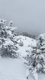 Private Ski Guiding in the Arlberg — St. Anton, Lech & Zürs