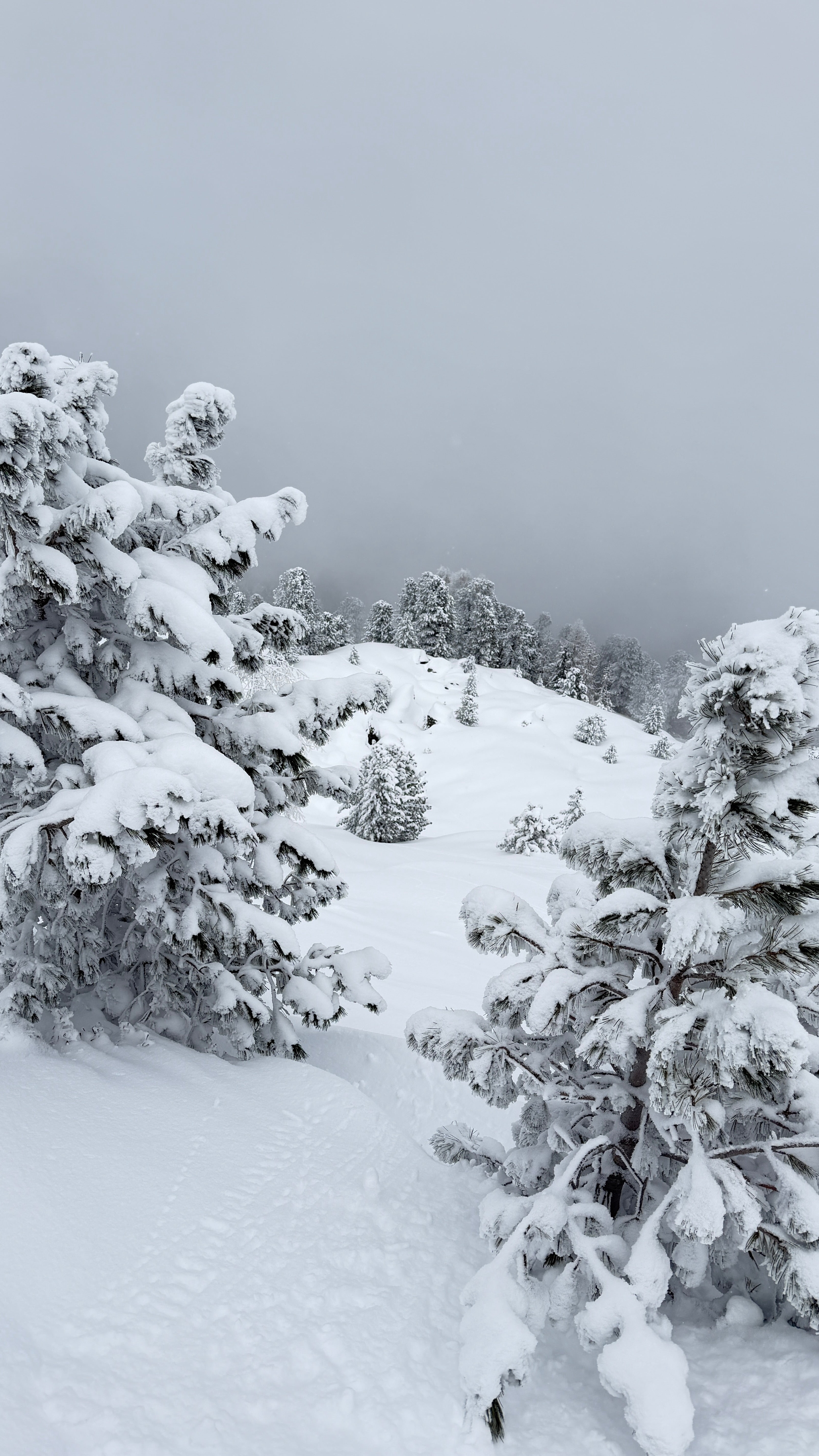 Private Ski Guiding in the Arlberg — St. Anton, Lech & Zürs