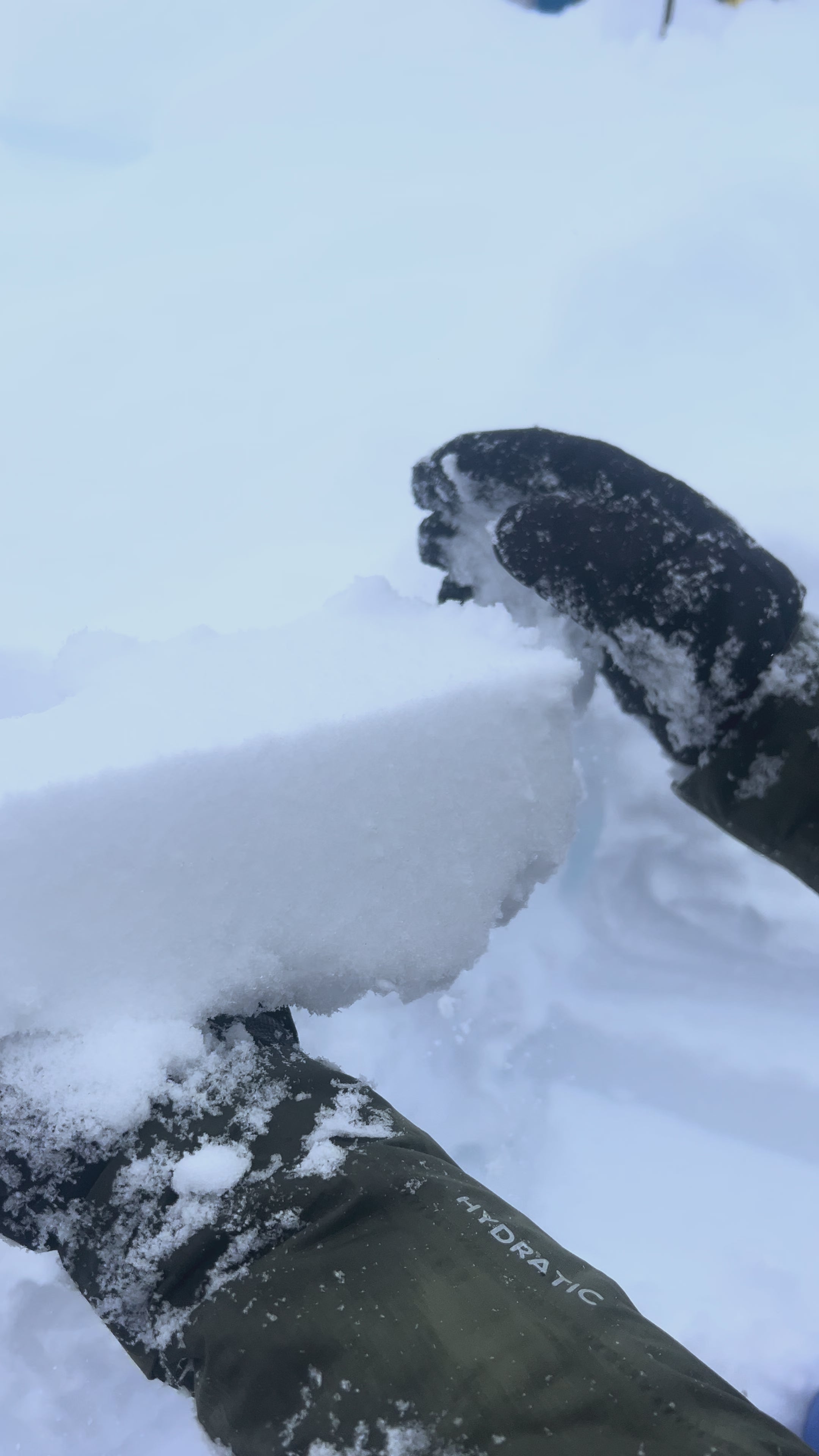1-Day Basic Avalanche Safety Course