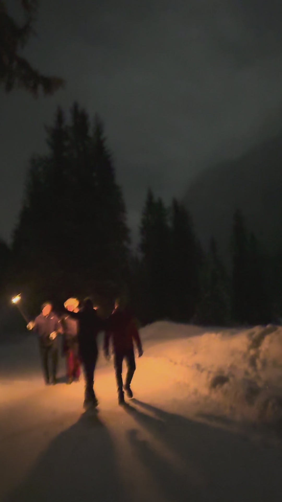Night Torchlight Hike to a Hut
