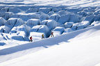 7-Day A "money-can’t-buy" experience in Svalbard incl. Photo Workshop
