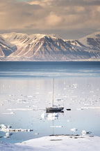 7-Day A "money-can’t-buy" experience in Svalbard incl. Photo Workshop