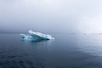 7-Day A "money-can’t-buy" experience in Svalbard incl. Photo Workshop
